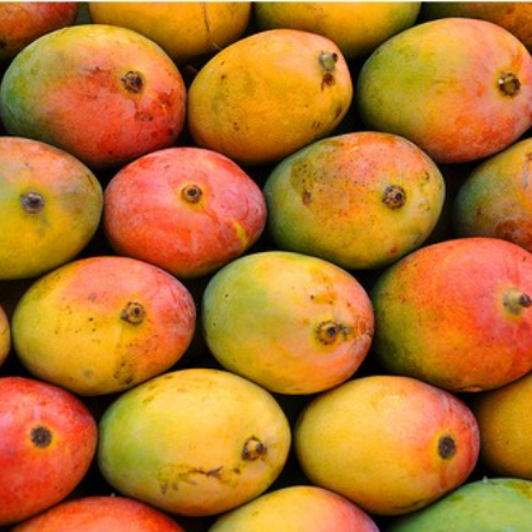 Sendhura Mango