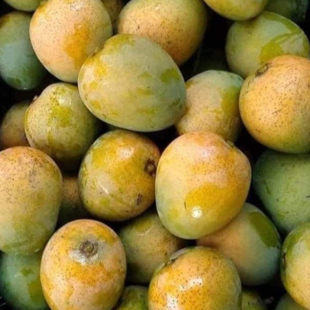 Mallika Mango